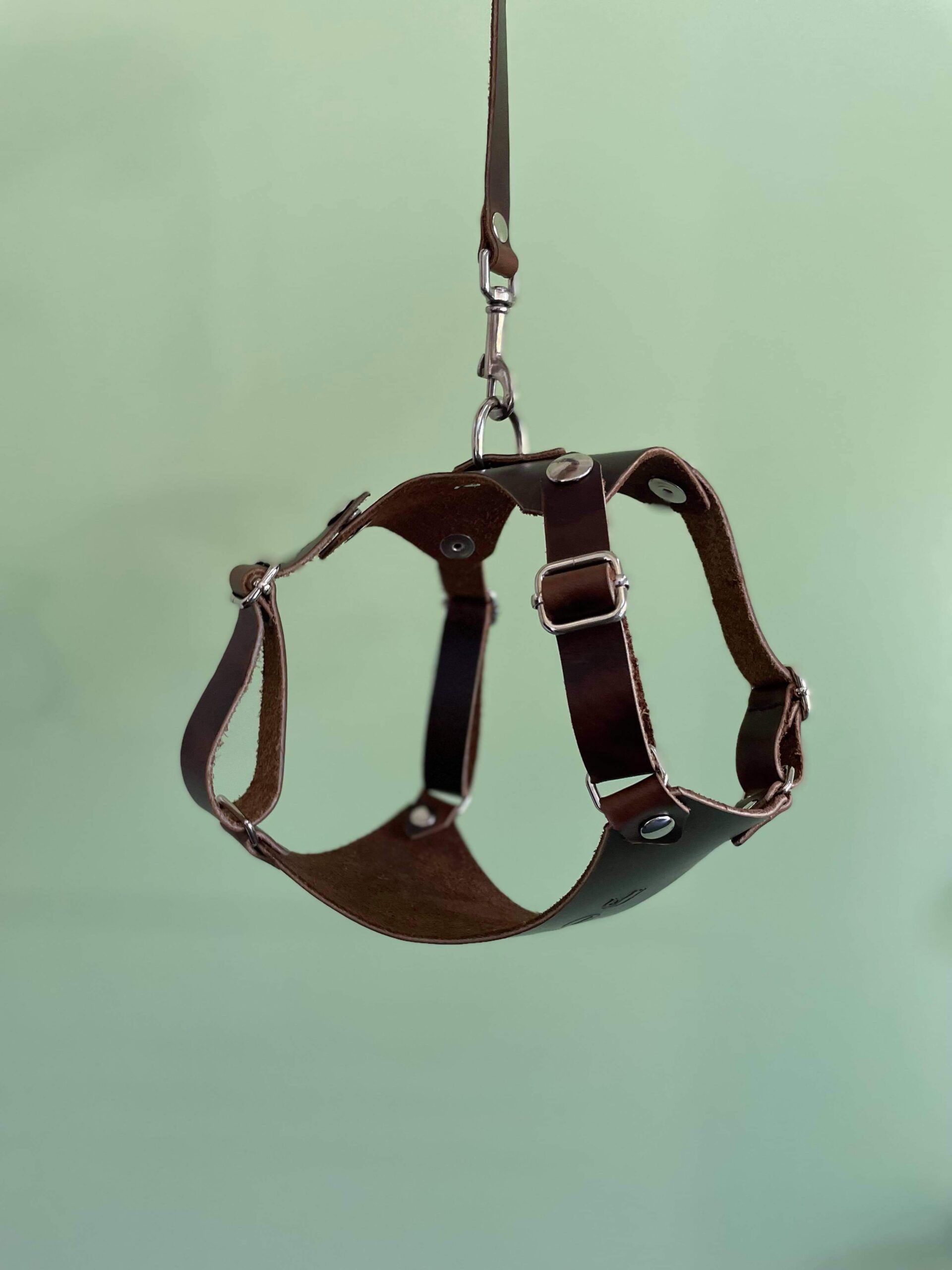 A custom made cat harness in brown leather